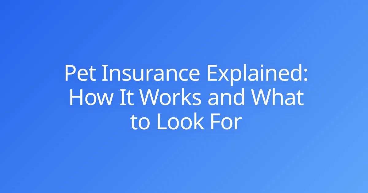 Pet Insurance Explained: How It Works and What to Look For